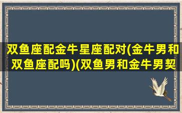 双鱼座配金牛星座配对(金牛男和双鱼座配吗)(双鱼男和金牛男契合度)