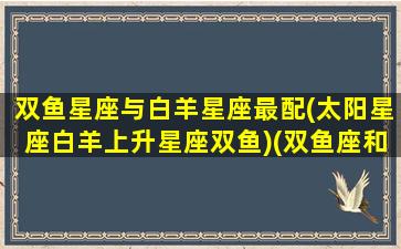 双鱼星座与白羊星座最配(太阳星座白羊上升星座双鱼)(双鱼座和白羊座星座)