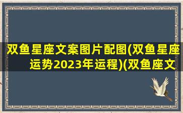 双鱼星座文案图片配图(双鱼星座运势2023年运程)(双鱼座文案馆图片)