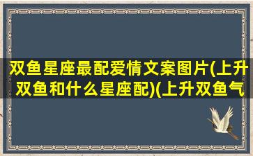 双鱼星座最配爱情文案图片(上升双鱼和什么星座配)(上升双鱼气质)