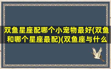 双鱼星座配哪个小宠物最好(双鱼和哪个星座最配)(双鱼座与什么星座配对适合)