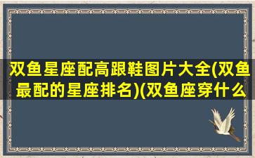 双鱼星座配高跟鞋图片大全(双鱼最配的星座排名)(双鱼座穿什么高跟鞋好看)