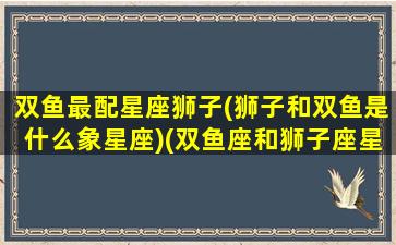 双鱼最配星座狮子(狮子和双鱼是什么象星座)(双鱼座和狮子座星座最配)