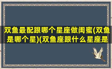 双鱼最配跟哪个星座做闺蜜(双鱼是哪个星)(双鱼座跟什么星座是最好的闺蜜)