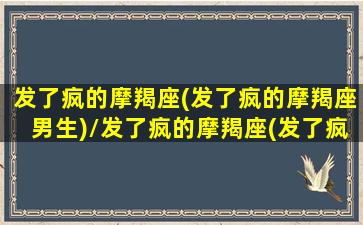 发了疯的摩羯座(发了疯的摩羯座男生)/发了疯的摩羯座(发了疯的摩羯座男生)-我的网站