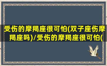 受伤的摩羯座很可怕(双子座伤摩羯座吗)/受伤的摩羯座很可怕(双子座伤摩羯座吗)-我的网站