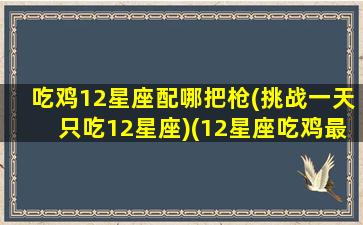 吃鸡12星座配哪把枪(挑战一天只吃12星座)(12星座吃鸡最适合用什么枪)