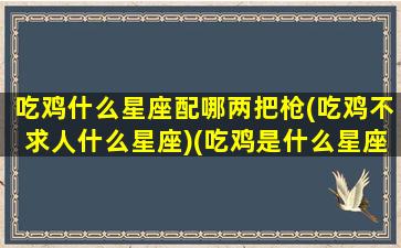 吃鸡什么星座配哪两把枪(吃鸡不求人什么星座)(吃鸡是什么星座)