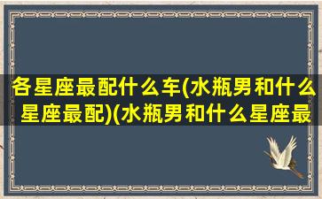 各星座最配什么车(水瓶男和什么星座最配)(水瓶男和什么星座最配当情侣)