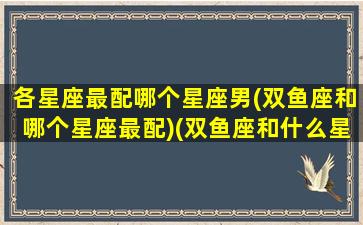 各星座最配哪个星座男(双鱼座和哪个星座最配)(双鱼座和什么星座的男人最配)