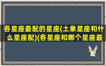 各星座最配的星座(土象星座和什么星座配)(各星座和哪个星座最般配)