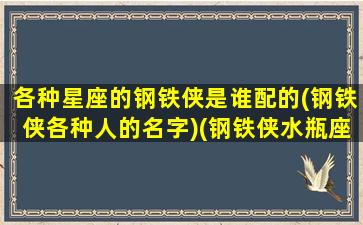 各种星座的钢铁侠是谁配的(钢铁侠各种人的名字)(钢铁侠水瓶座)