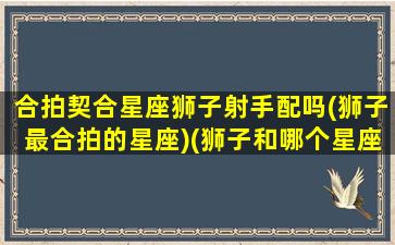 合拍契合星座狮子射手配吗(狮子最合拍的星座)(狮子和哪个星座最合拍)