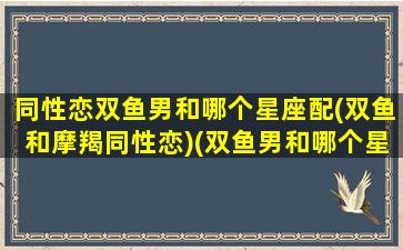 同性恋双鱼男和哪个星座配(双鱼和摩羯同性恋)(双鱼男和哪个星座男关系最好)