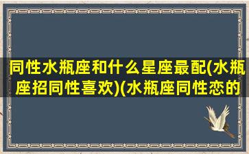 同性水瓶座和什么星座最配(水瓶座招同性喜欢)(水瓶座同性恋的概率)