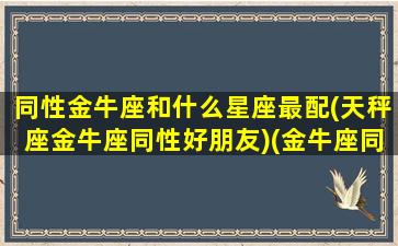 同性金牛座和什么星座最配(天秤座金牛座同性好朋友)(金牛座同级别)