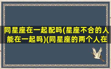 同星座在一起配吗(星座不合的人能在一起吗)(同星座的两个人在一起会怎么样)