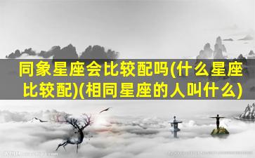 同象星座会比较配吗(什么星座比较配)(相同星座的人叫什么)