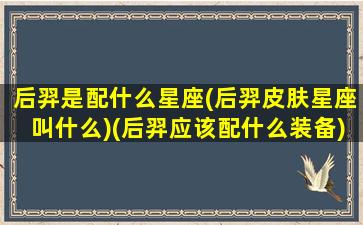 后羿是配什么星座(后羿皮肤星座叫什么)(后羿应该配什么装备)