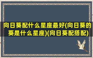 向日葵配什么星座最好(向日葵的葵是什么星座)(向日葵配搭配)