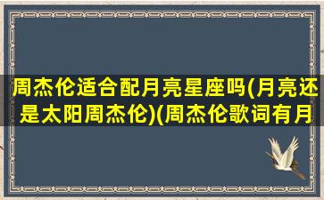 周杰伦适合配月亮星座吗(月亮还是太阳周杰伦)(周杰伦歌词有月亮)