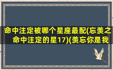 命中注定被哪个星座最配(忘羡之命中注定的星17)(羡忘你是我的命中注定)