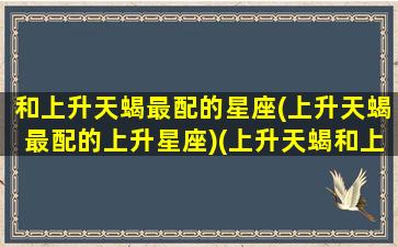 和上升天蝎最配的星座(上升天蝎最配的上升星座)(上升天蝎和上升天蝎配吗)