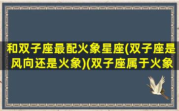 和双子座最配火象星座(双子座是风向还是火象)(双子座属于火象星座吗)