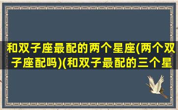 和双子座最配的两个星座(两个双子座配吗)(和双子最配的三个星座)