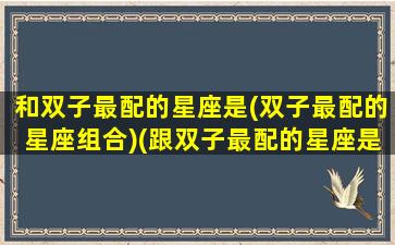 和双子最配的星座是(双子最配的星座组合)(跟双子最配的星座是)