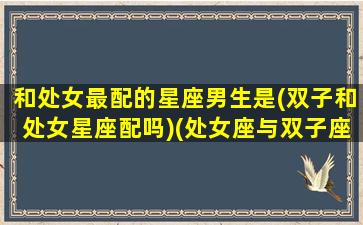 和处女最配的星座男生是(双子和处女星座配吗)(处女座与双子座男的爱情)