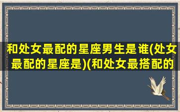 和处女最配的星座男生是谁(处女最配的星座是)(和处女最搭配的星座)