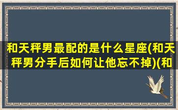 和天秤男最配的是什么星座(和天秤男分手后如何让他忘不掉)(和天秤座男谈恋爱是怎样一种体验)