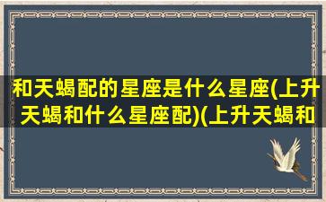 和天蝎配的星座是什么星座(上升天蝎和什么星座配)(上升天蝎和什么上升星座配)