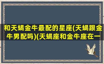 和天蝎金牛最配的星座(天蝎跟金牛男配吗)(天蝎座和金牛座在一起会怎样)