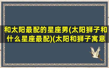 和太阳最配的星座男(太阳狮子和什么星座最配)(太阳和狮子寓意是什么)