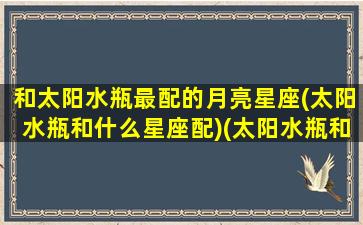 和太阳水瓶最配的月亮星座(太阳水瓶和什么星座配)(太阳水瓶和月亮水瓶的人相处)