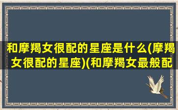 和摩羯女很配的星座是什么(摩羯女很配的星座)(和摩羯女最般配的星座)