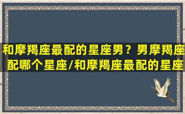 和摩羯座最配的星座男？男摩羯座配哪个星座/和摩羯座最配的星座男？男摩羯座配哪个星座-我的网站