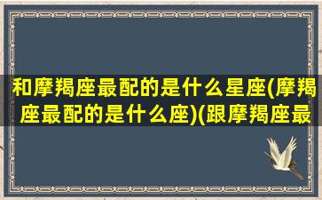 和摩羯座最配的是什么星座(摩羯座最配的是什么座)(跟摩羯座最配的星座配对)