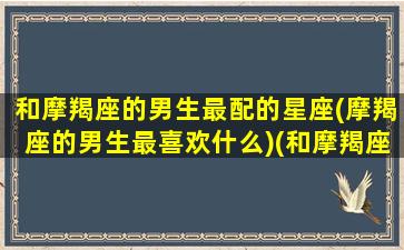 和摩羯座的男生最配的星座(摩羯座的男生最喜欢什么)(和摩羯座的男生谈恋爱是什么体验)