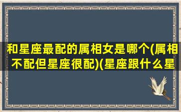 和星座最配的属相女是哪个(属相不配但星座很配)(星座跟什么星座最合适)