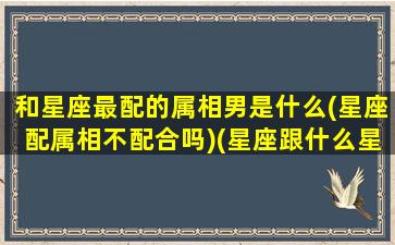 和星座最配的属相男是什么(星座配属相不配合吗)(星座跟什么星座最配对)