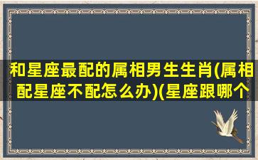 和星座最配的属相男生生肖(属相配星座不配怎么办)(星座跟哪个星座最配)