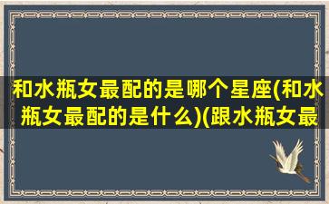 和水瓶女最配的是哪个星座(和水瓶女最配的是什么)(跟水瓶女最配的星座配对)