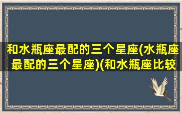 和水瓶座最配的三个星座(水瓶座最配的三个星座)(和水瓶座比较搭的星座)