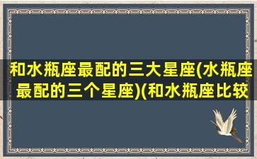 和水瓶座最配的三大星座(水瓶座最配的三个星座)(和水瓶座比较搭的星座)