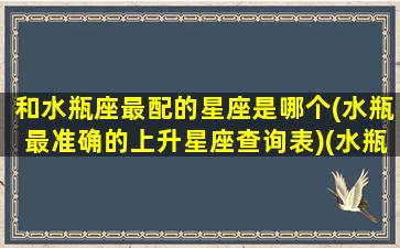 和水瓶座最配的星座是哪个(水瓶最准确的上升星座查询表)(水瓶座和哪个星座相匹配)