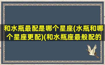 和水瓶最配是哪个星座(水瓶和哪个星座更配)(和水瓶座最般配的星座)