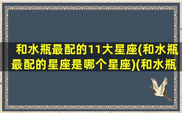 和水瓶最配的11大星座(和水瓶最配的星座是哪个星座)(和水瓶最搭配的星座)